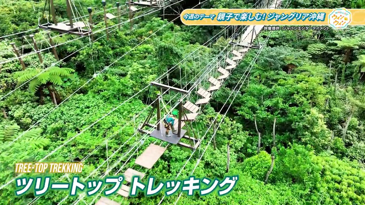 ウィンウィン　2026年2月１１日放送