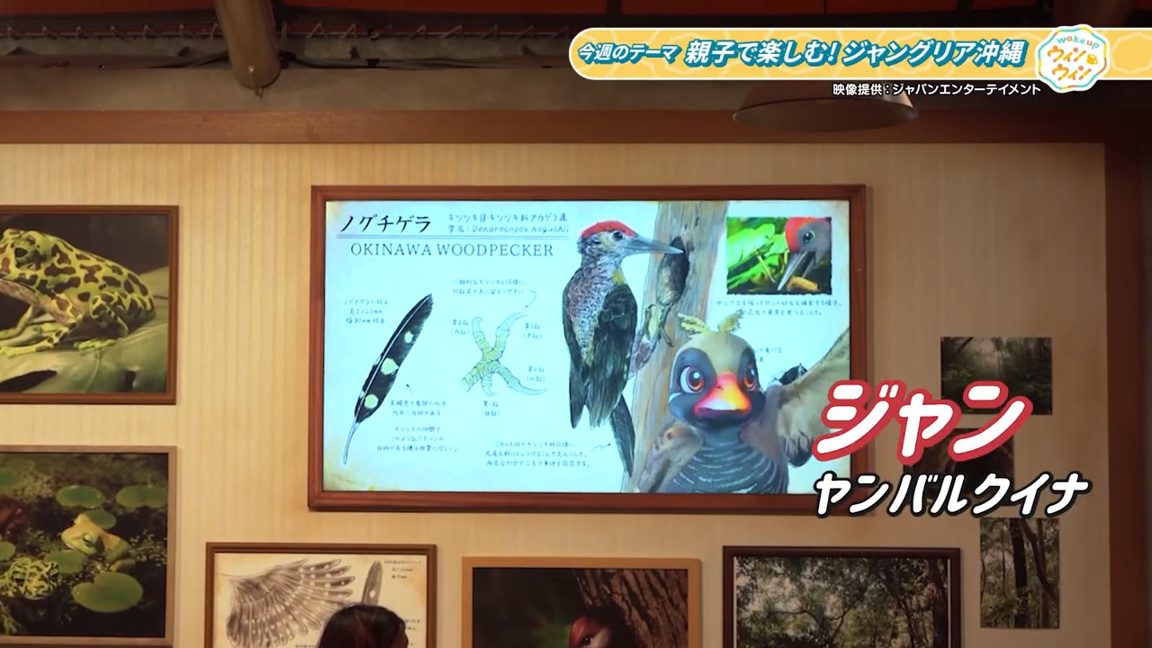 ウィンウィン　2026年2月１１日放送