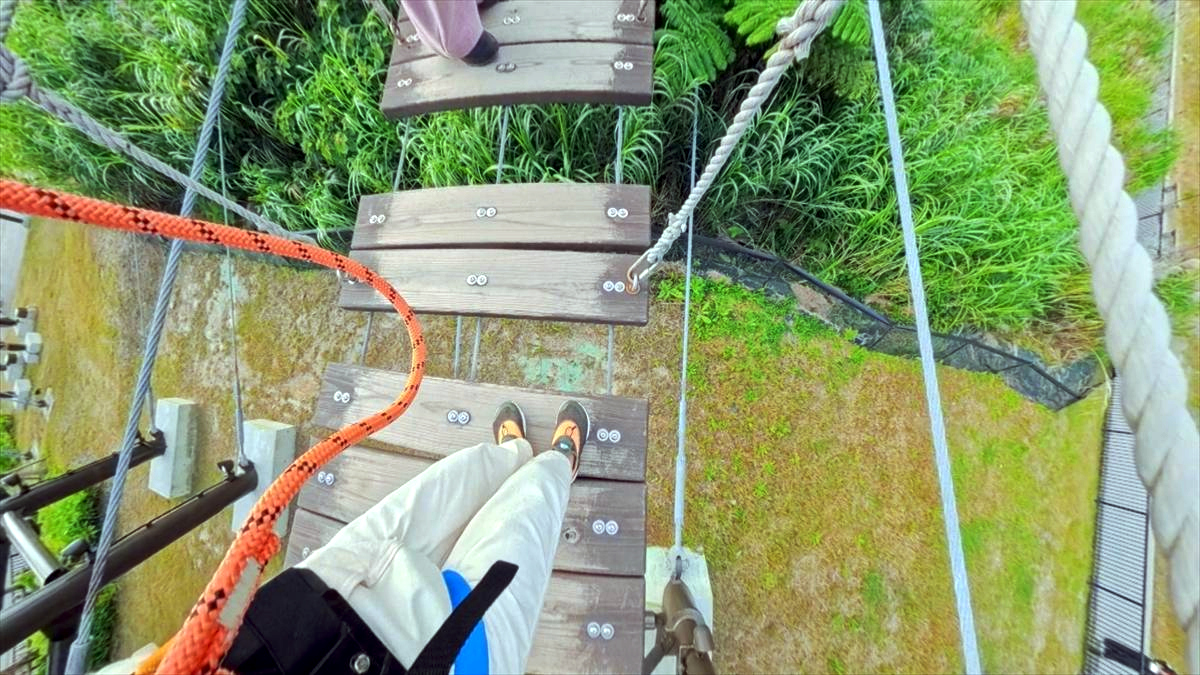 ウィンウィン　2026年2月１１日放送