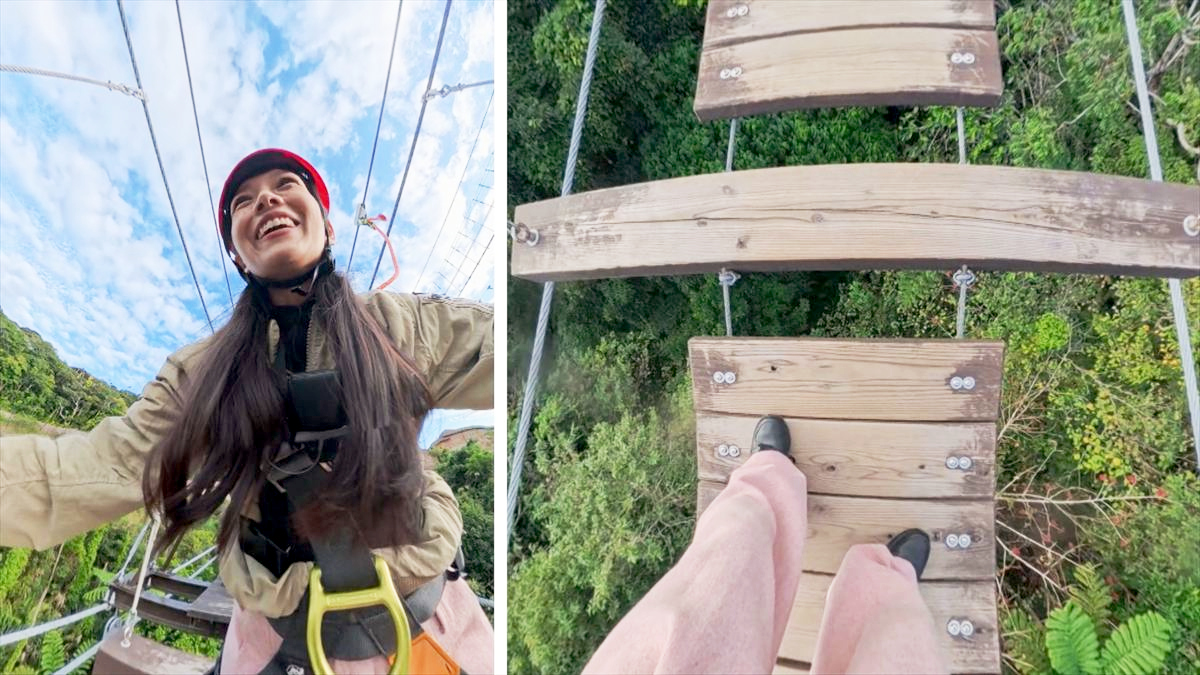 ウィンウィン　2026年2月１１日放送