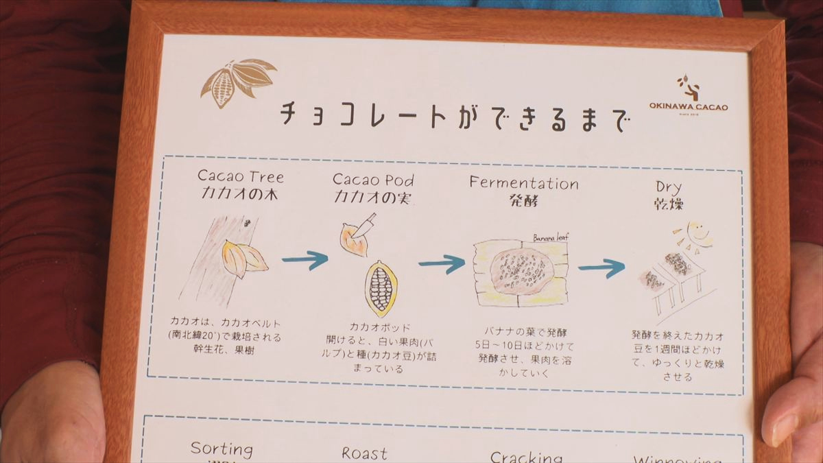 ウィンウィン　2026年2月8日放送