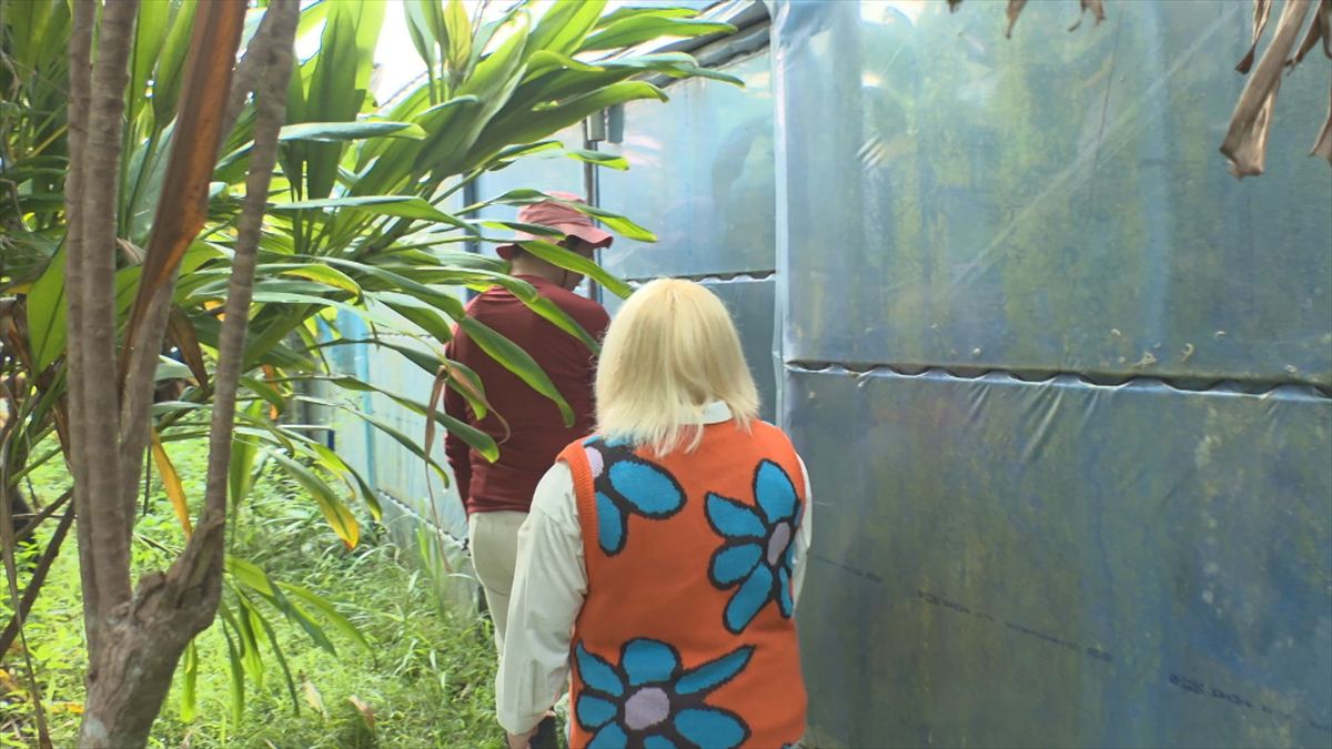 ウィンウィン　2026年2月8日放送