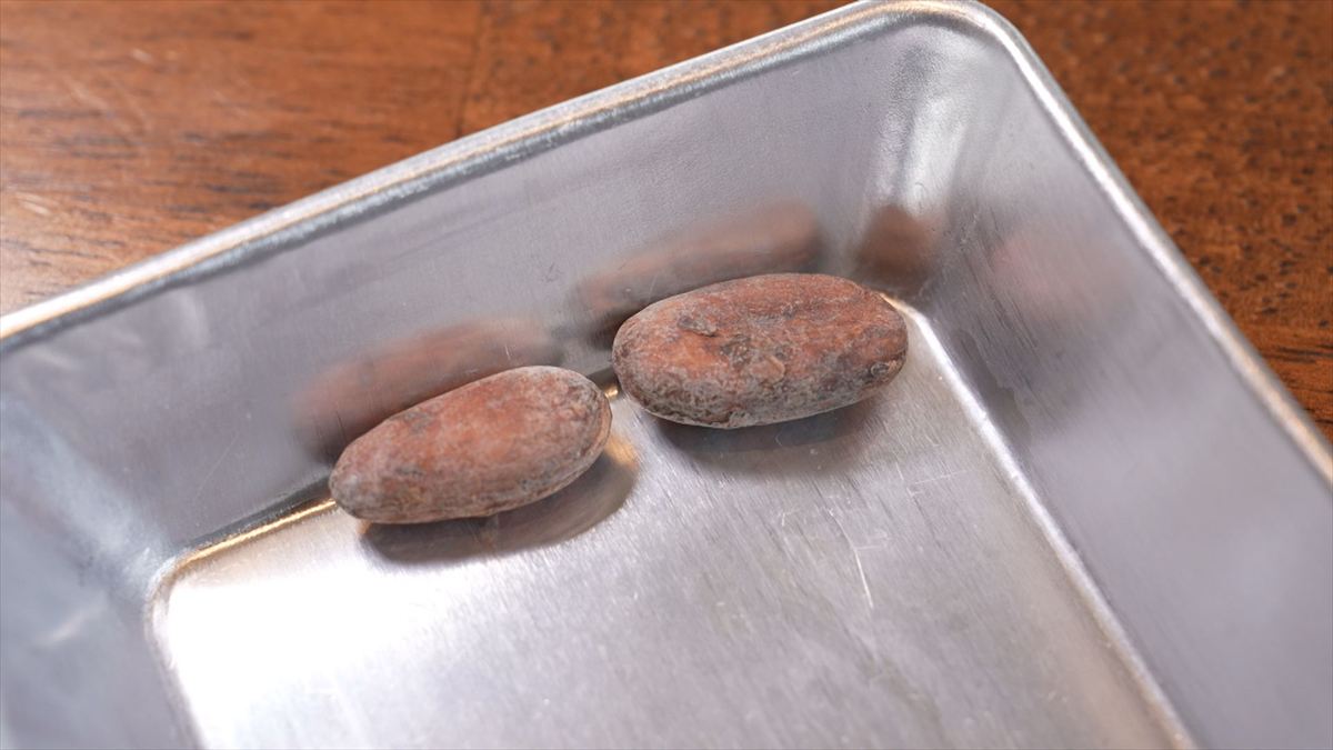 ウィンウィン　2026年2月8日放送