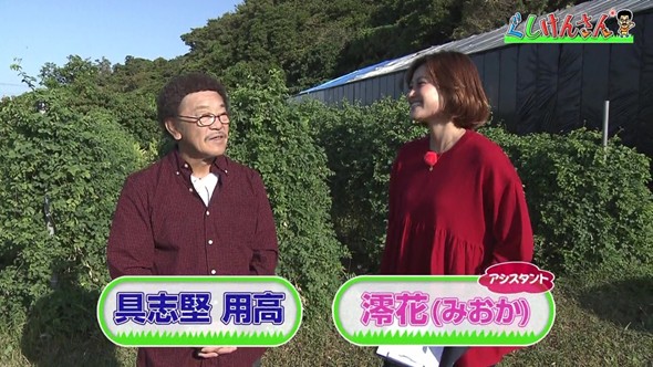 沖縄薬草茶の老舗工場で具志堅さんが驚き！「もうこれ飲んどったら
