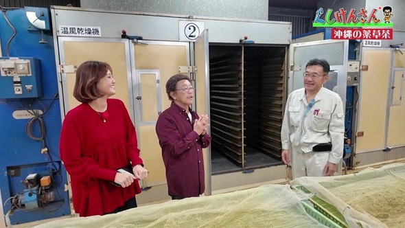 沖縄薬草茶の老舗工場で具志堅さんが驚き！「もうこれ飲んどったら