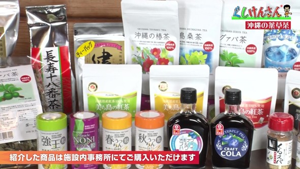 沖縄薬草茶の老舗工場で具志堅さんが驚き！「もうこれ飲んどったら