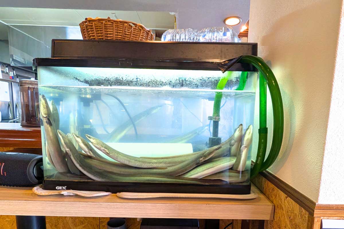 「ちょっと特別な日本食が食べたい...」パリふわ鰻にフレンチ風西京焼？「食堂うみの」で味わう至高の定食（南城市）