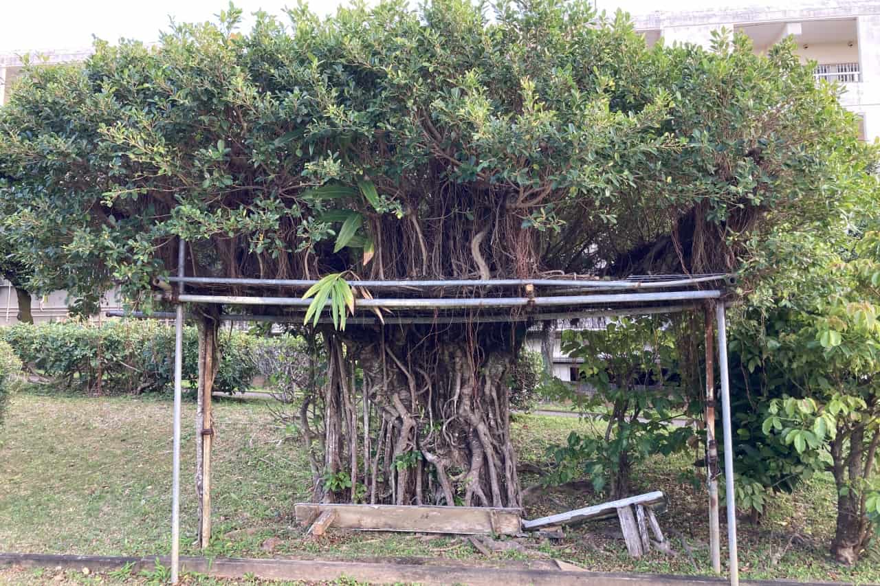 あしびなぁ公園_北谷町