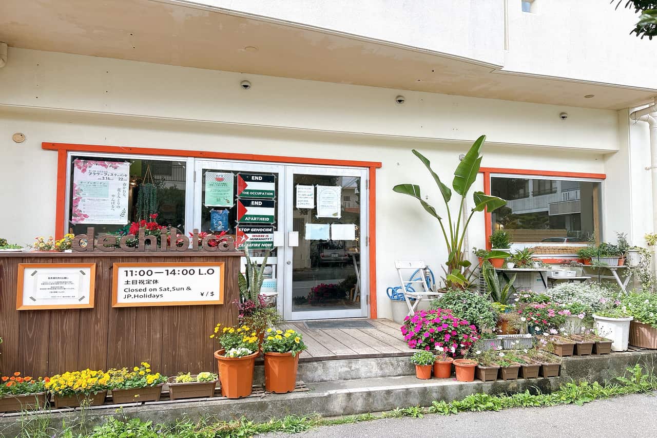 沖縄県産野菜たっぷり、お肉もカレーも1度で味わえる「dechibica（デチビカ）」のボリューム満点ランチ！（読谷村）