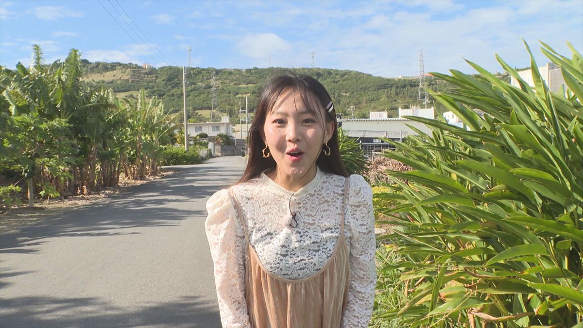 ウィンウィン　2026年3月1日放送