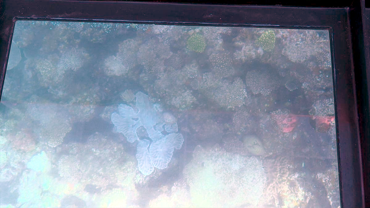 ウィンウィン　2026年3月22日放送