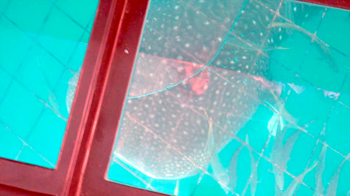 ウィンウィン　2026年3月22日放送