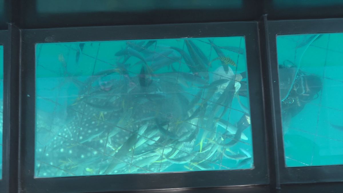 ウィンウィン　2026年3月22日放送