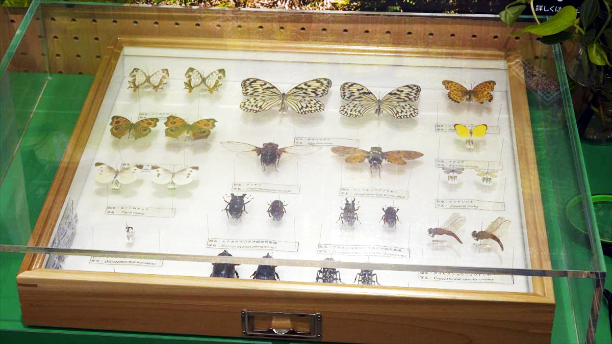 ウィンウィン　2026年3月22日放送