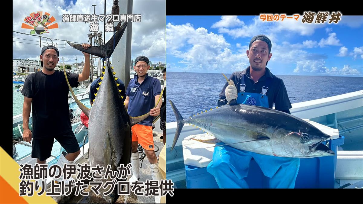 漁師直送生マグロ専門店 海猿 （うるま市石川）｜OTV アゲアゲめし 2026年4月10日放送