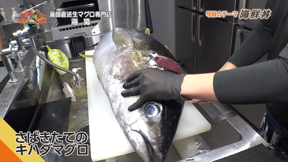 漁師直送生マグロ専門店 海猿 （うるま市石川）｜OTV アゲアゲめし 2026年4月10日放送
