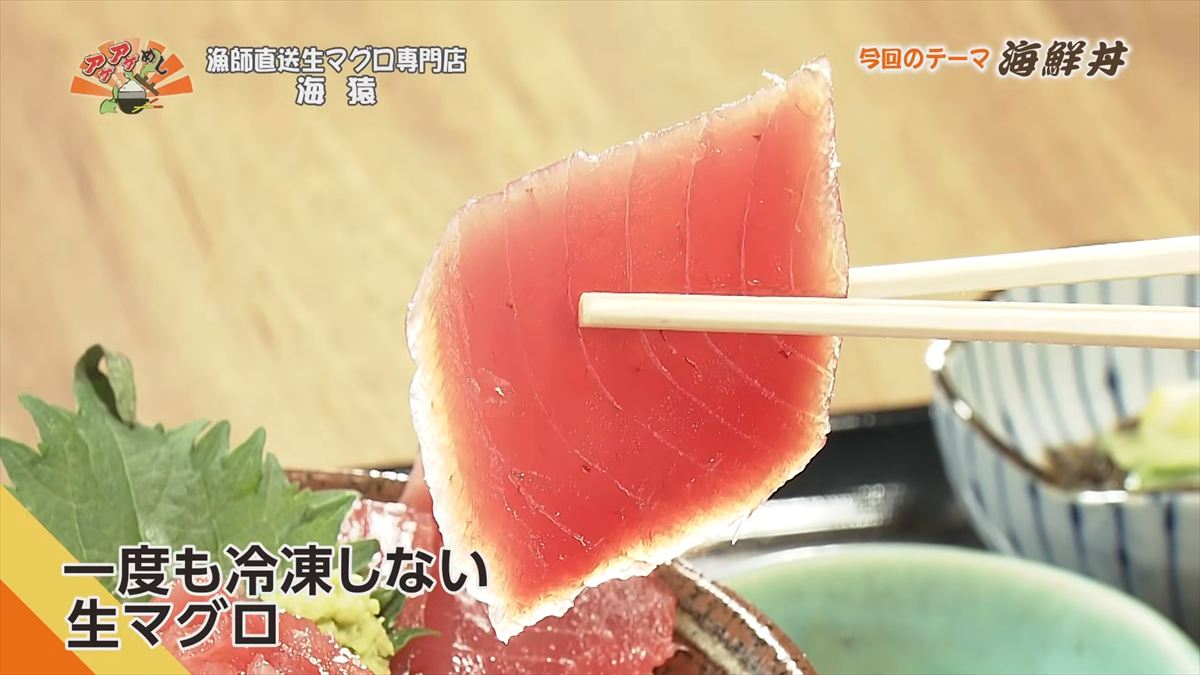 漁師直送生マグロ専門店 海猿 （うるま市石川）｜OTV アゲアゲめし 2026年4月10日放送