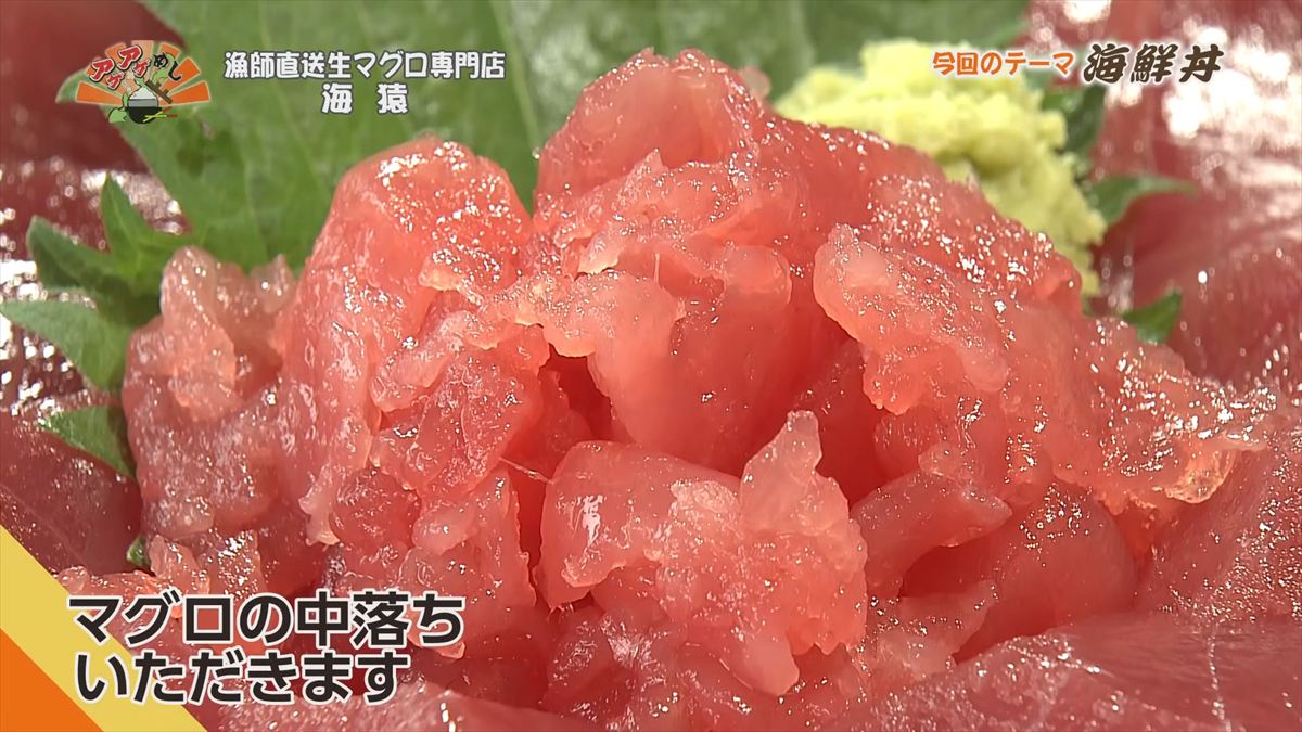漁師直送生マグロ専門店 海猿 （うるま市石川）｜OTV アゲアゲめし 2026年4月10日放送
