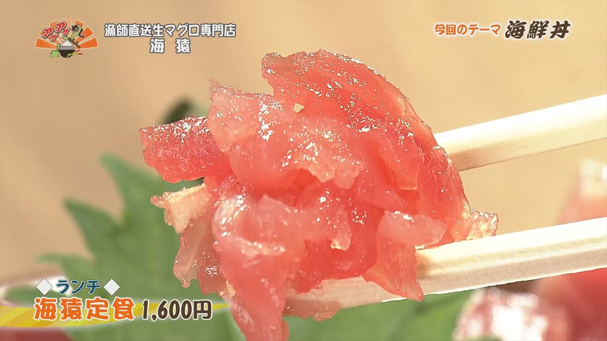 漁師直送生マグロ専門店 海猿 （うるま市石川）｜OTV アゲアゲめし 2026年4月10日放送