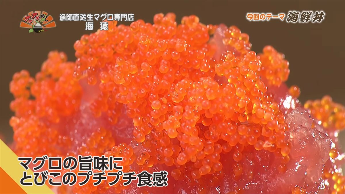 漁師直送生マグロ専門店 海猿 （うるま市石川）｜OTV アゲアゲめし 2026年4月10日放送