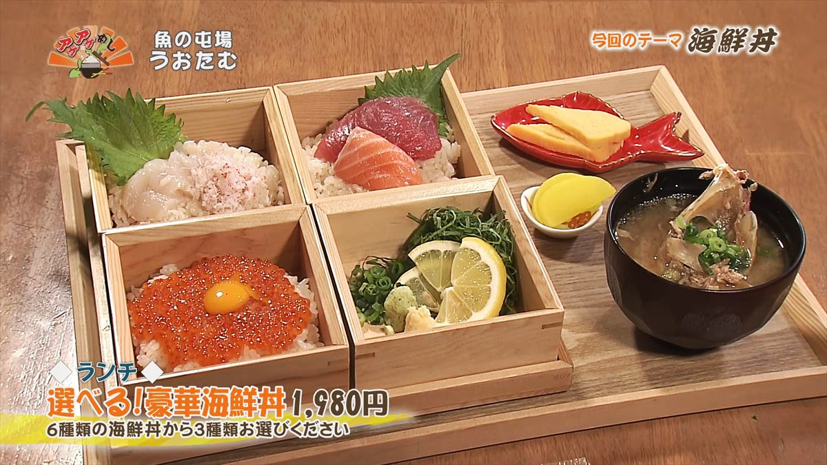 魚の屯場 うおたむ （那覇市久茂地）【ランチ】選べる！豪華海鮮丼（1,980円・税込） 6種類の海鮮丼から3種類お選びください ｜OTV アゲアゲめし 2026年4月10日放送
