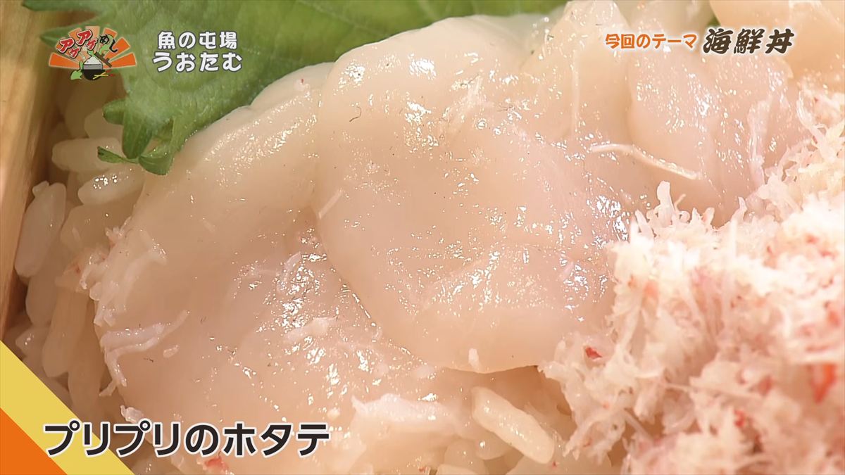 魚の屯場 うおたむ （那覇市久茂地）｜OTV アゲアゲめし 2026年4月10日放送