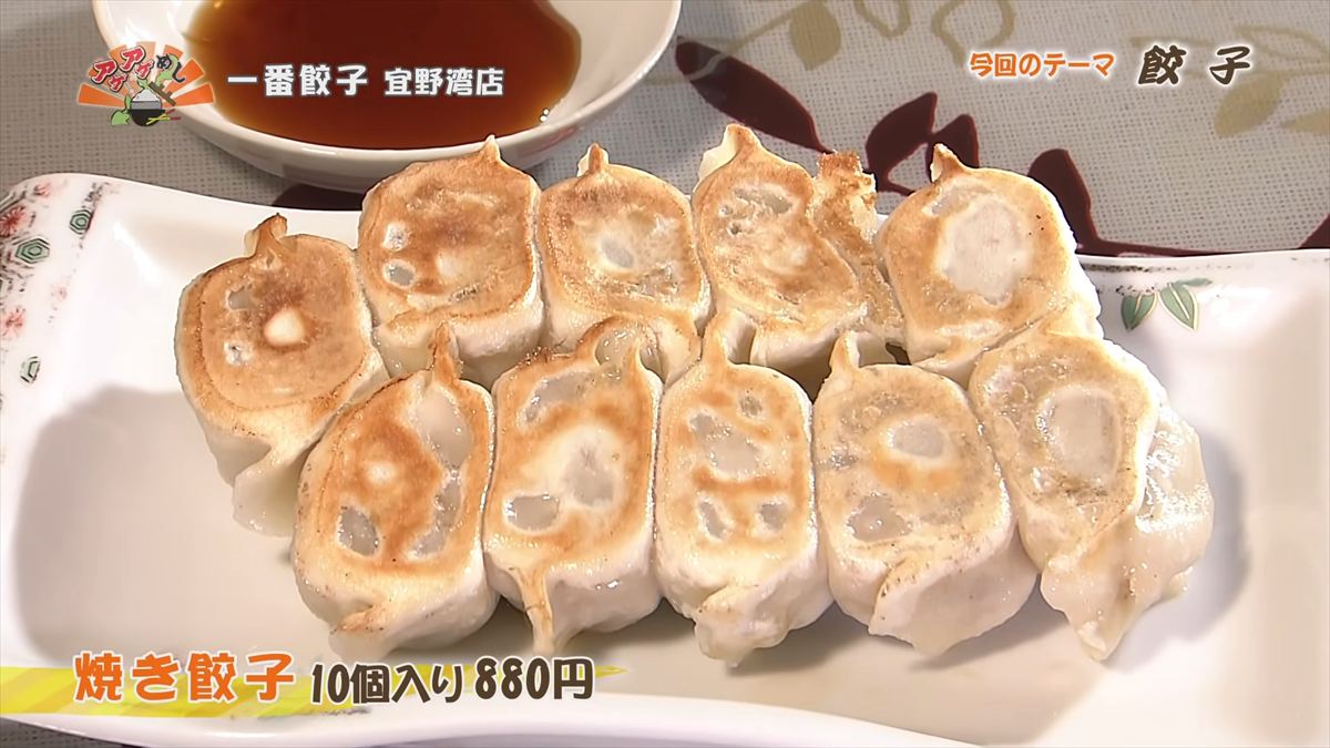 一番餃子 宜野湾店（宜野湾市真栄原）焼き餃子（10個入り 880円・税込）｜OTV アゲアゲめし 2026年4月17日放送