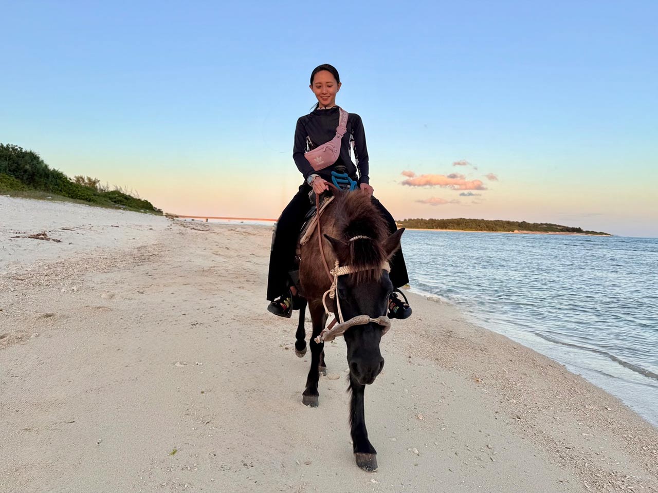 役に立たなくなったら、さようなら？沖縄の離島で馬とゴミから考えたこと