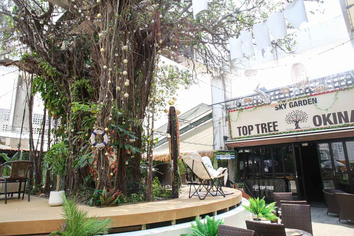 国際通りにNEWオアシス誕生！「CAFE NICA」のガジュマルテラスで味わう具だくさんスペシャルアサイーと自家製アボカドタコライス（那覇市）