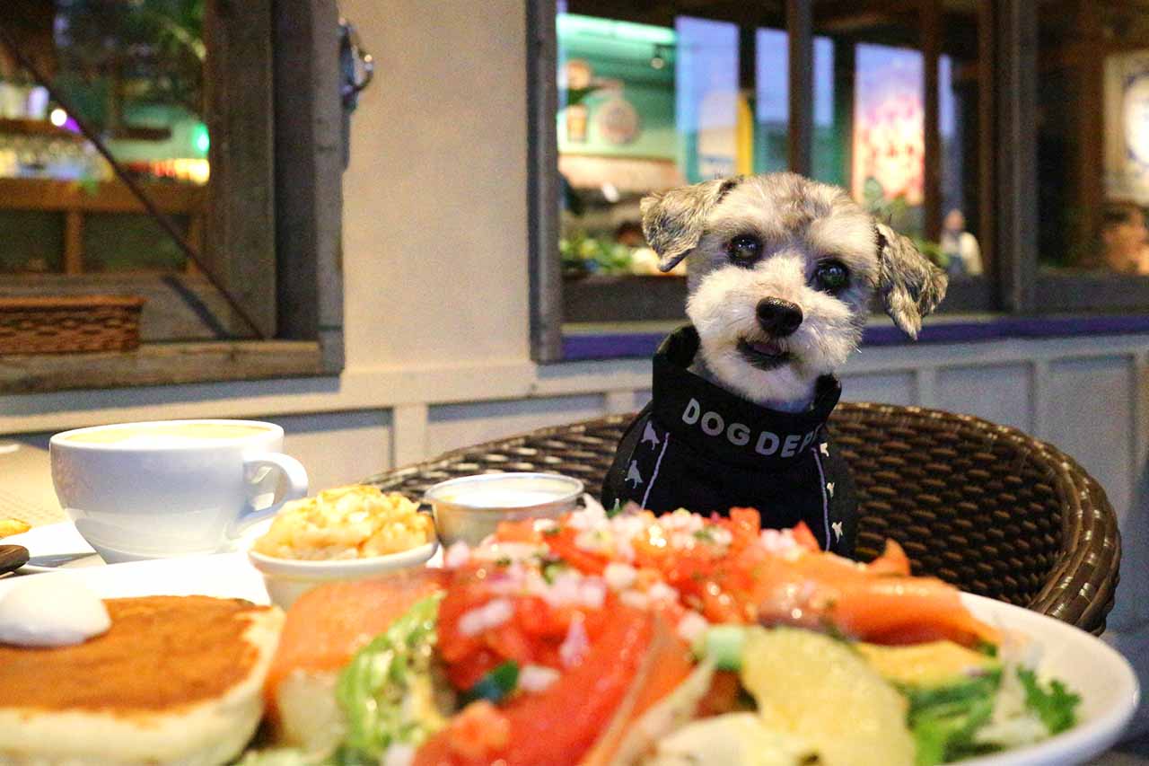 那覇に“いちばん近いハワイ”が誕生！「コナズ珈琲 那覇新都心公園店」五感で楽しむ体験メニューとは？（那覇市）