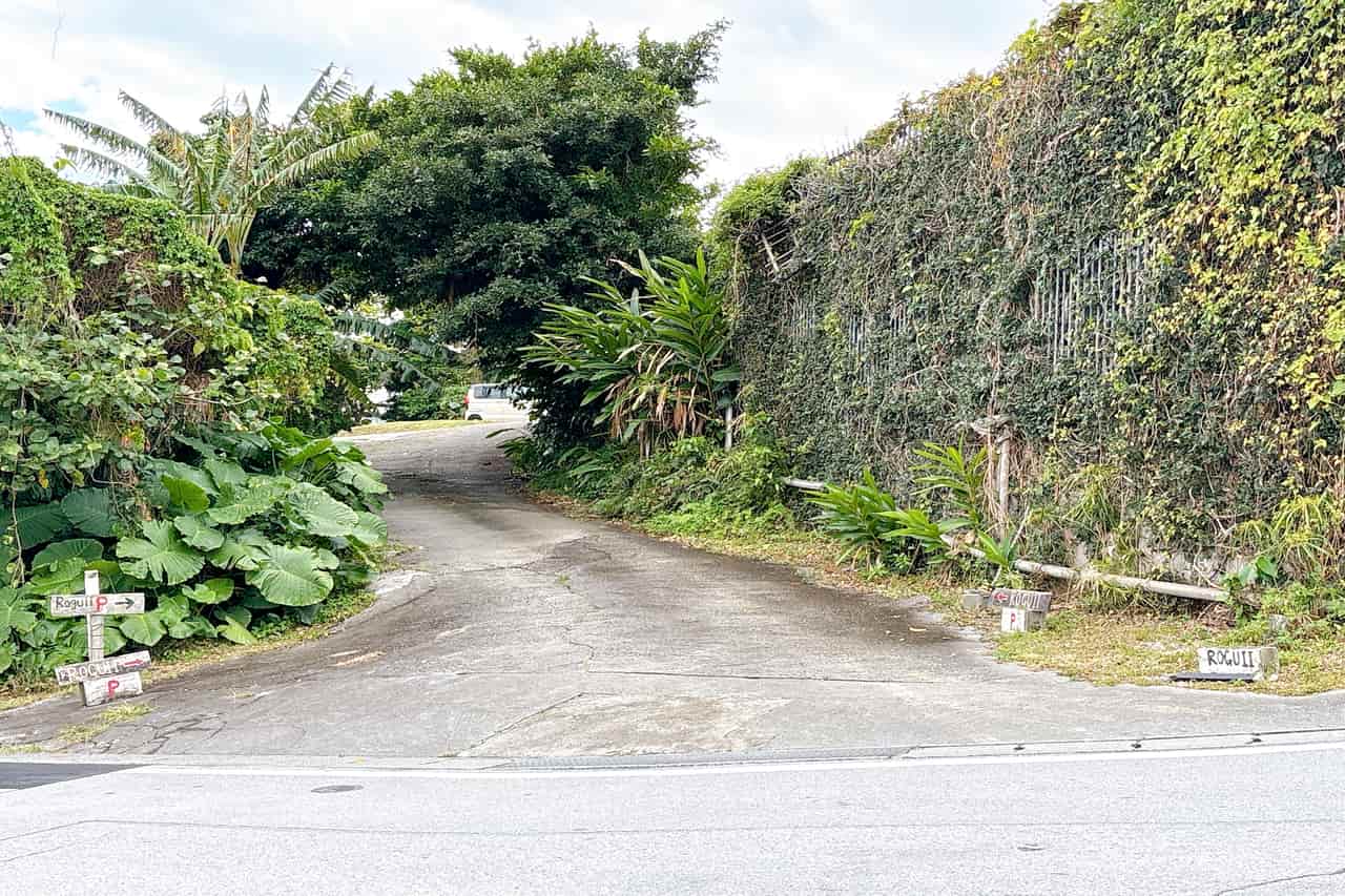 気づけば20年。野菜の彩りとアイデア豊かな週替わりランチメニューを「roguii（ロギ）」でいかが？（沖縄市）