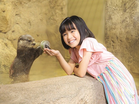 “ゼロ距離”で感じる、非日常の生きもの体験へ DMMかりゆし水族館【アニマルSUN】