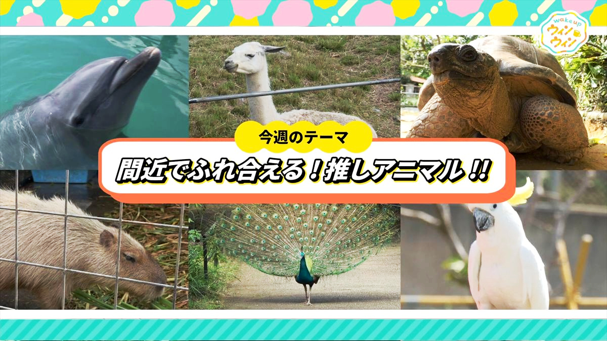 ウィンウィン　2026年4月5日放送