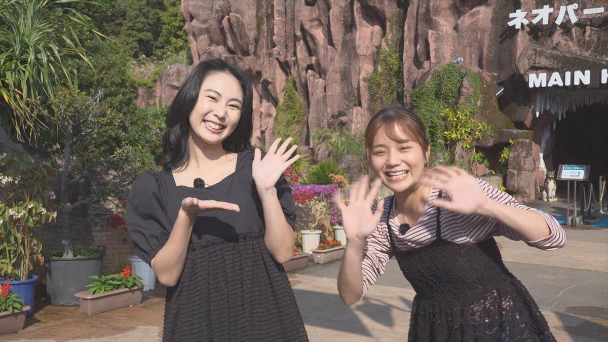 ウィンウィン　2026年4月5日放送