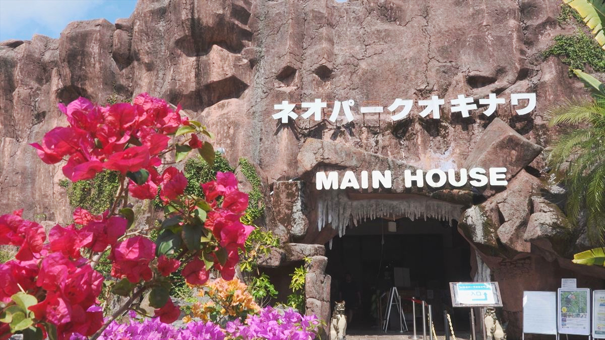 ウィンウィン　2026年4月5日放送