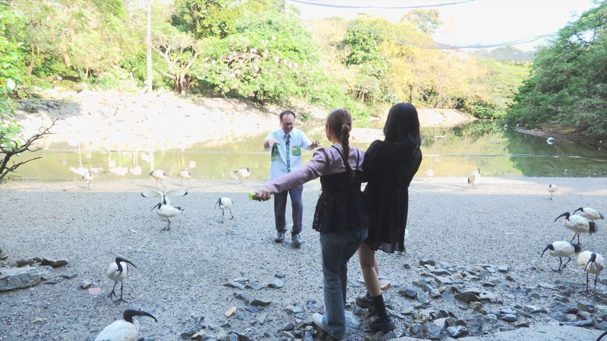 ウィンウィン　2026年4月5日放送