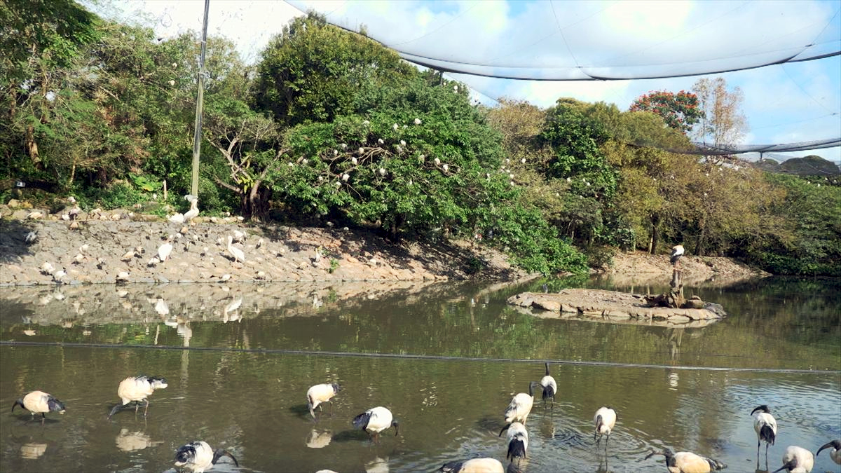 ウィンウィン　2026年4月5日放送