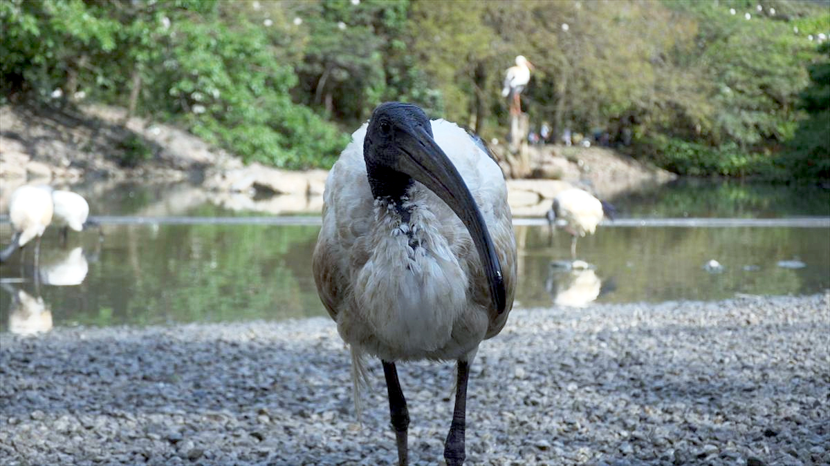 ウィンウィン　2026年4月5日放送