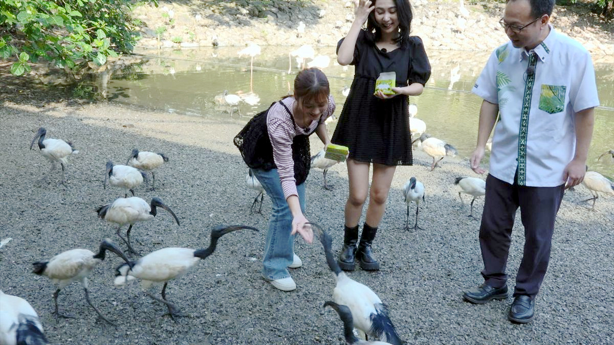 ウィンウィン　2026年4月5日放送