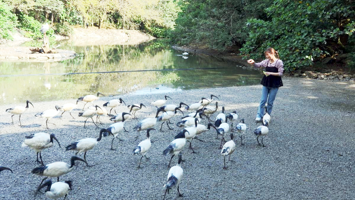 ウィンウィン　2026年4月5日放送