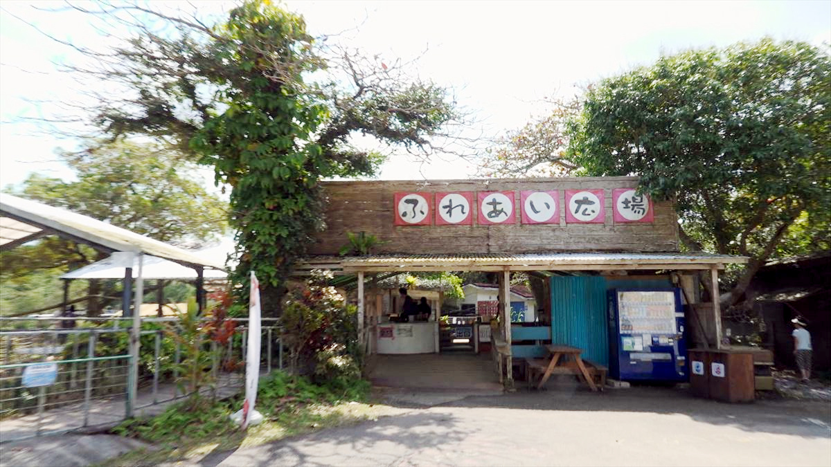 ウィンウィン　2026年4月5日放送