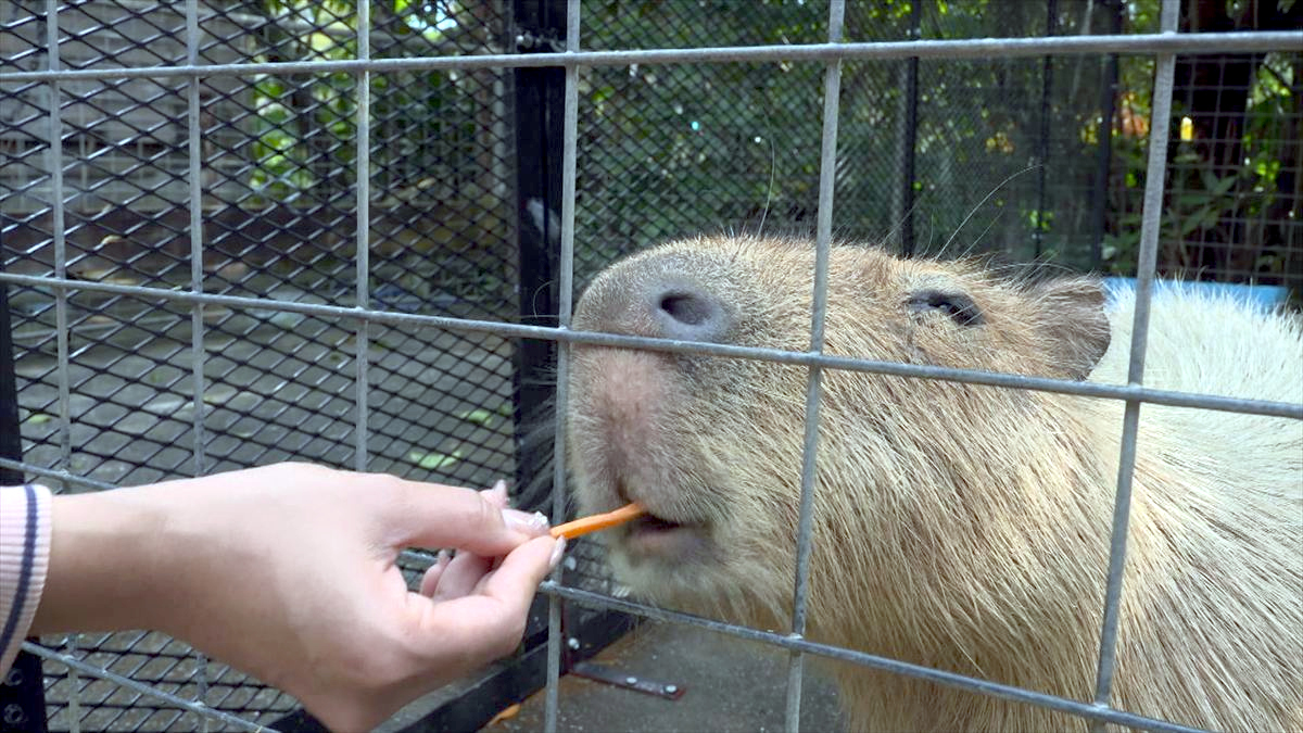 ウィンウィン　2026年4月5日放送