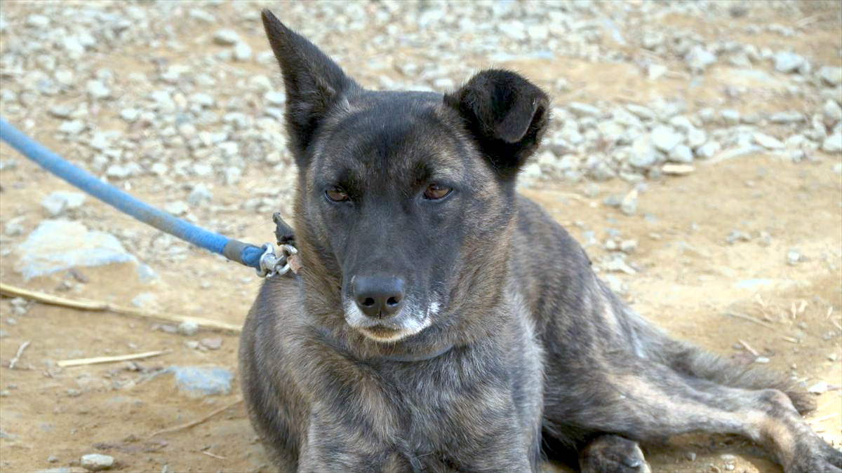 ウィンウィン　2026年4月5日放送