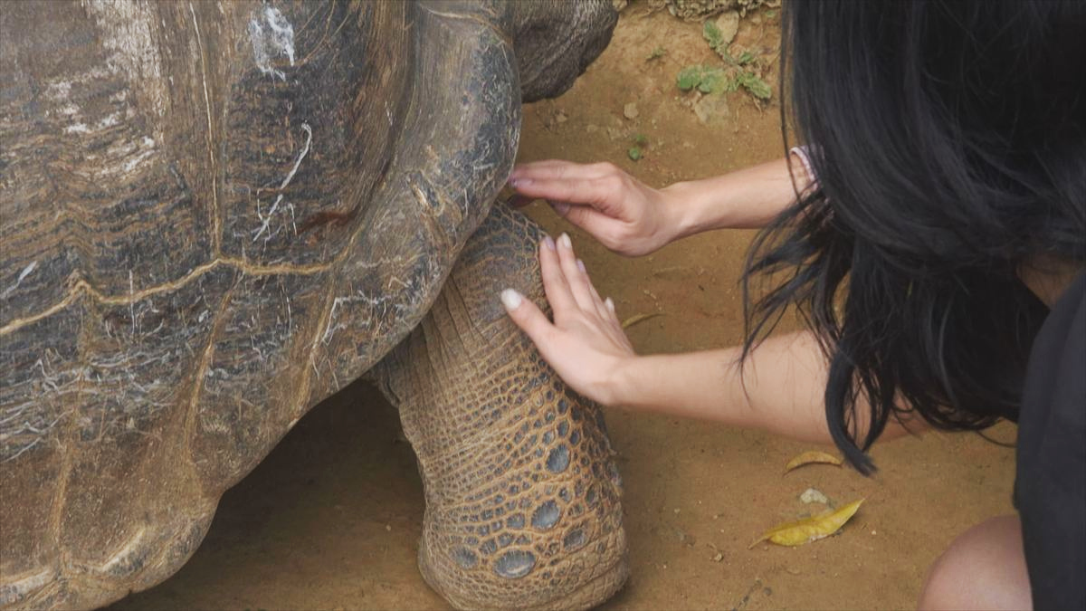 ウィンウィン　2026年4月5日放送