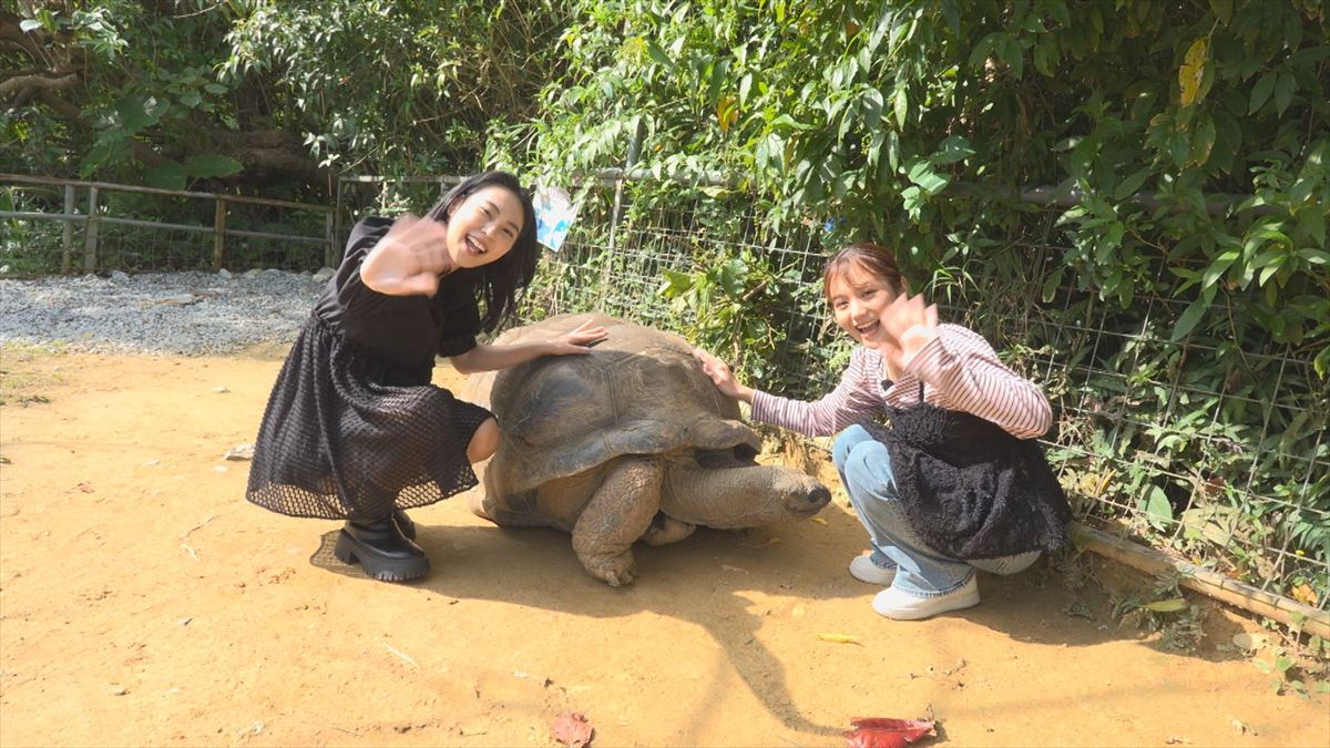 ウィンウィン　2026年4月5日放送