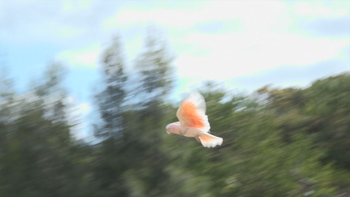 ウィンウィン　2026年4月5日放送