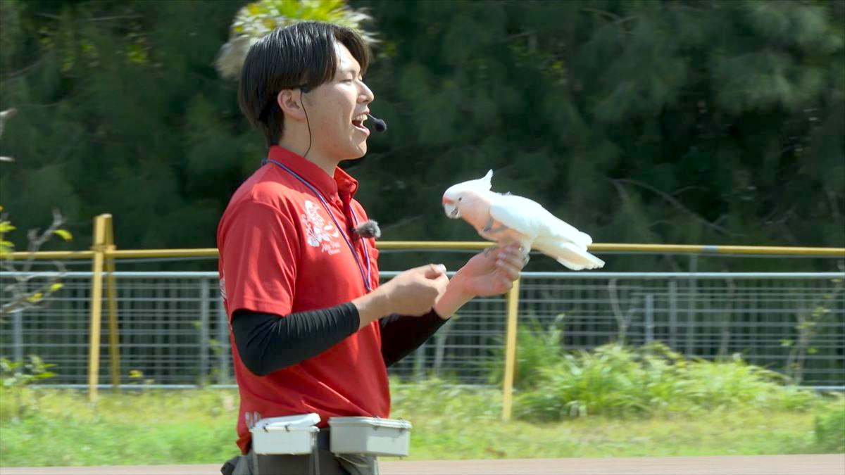 ウィンウィン　2026年4月5日放送