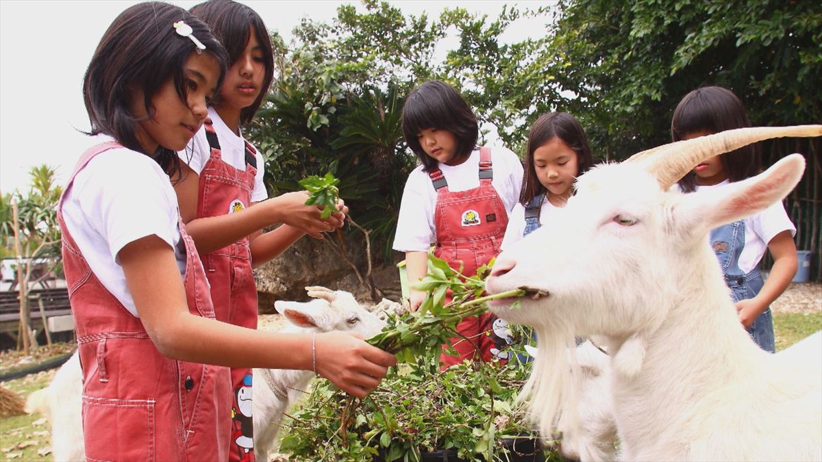 ウィンウィン　2026年4月5日放送