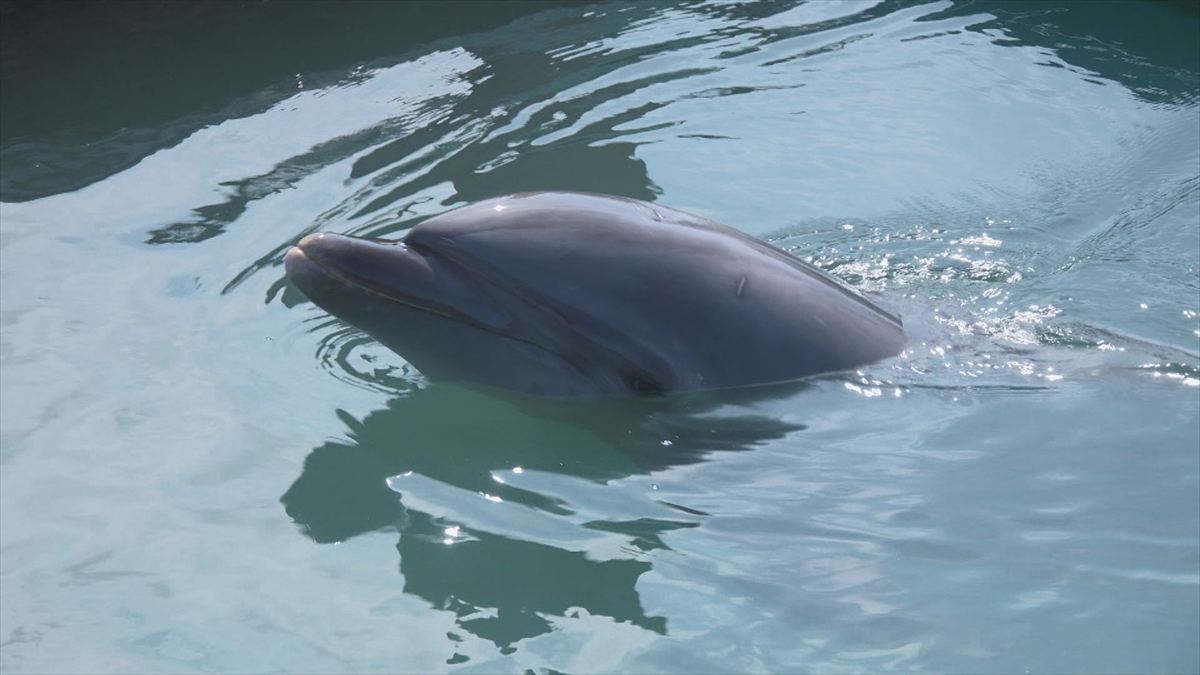 ウィンウィン　2026年4月5日放送