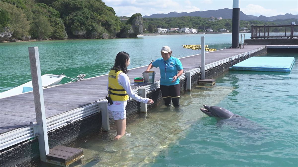 ウィンウィン　2026年4月5日放送